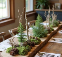 Je n'achète plus mon sapin... j'en fabrique un!